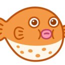 향록복어 이미지