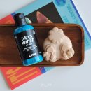 나이스워시 | LUSH 세일 러쉬 샤워젤 대즈 민티드 및 비누 나이스 번즈 헌- 바디워시 추천템들로 가격도 굿