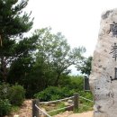 동아무도장 이미지