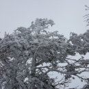 입암주유소 이미지