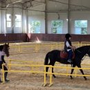 알찬광천토굴새우젓 이미지