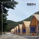 멍,멍# | 대구근교캠핑장 칠곡 석적 멍캠프닉 솔직후기