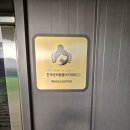 춘천유치원 이미지