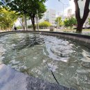 명리학 중급(야간) | 덥구만