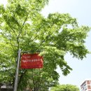 아트밸리 어린이날 공연 이미지