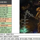 저단39 이미지
