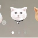 홈플러스(주)유성점 이미지