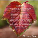 10월 14일(화) 올해도 어김없이 릴케의 시 &#39;가을날&#39;이 생각나서 쓰는 글 이미지