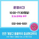 인천계양동물약국 | [인천동물약국] 인천 계양구 동물약국 효성현대약국