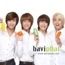 바비 펫 이미지