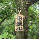 "둔덕산" 이미지