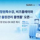 플레이비즈