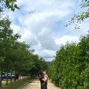 책속에풍덩Terrace 이미지