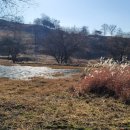 보은 삼년산성 이미지