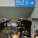우당탕탕 당일치기 서울여행기(동덕여대 졸업전시회 졸업패션쇼)
