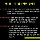 뷰맥스 아카데미 네이버블로그