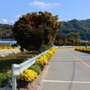 중동3리 이미지