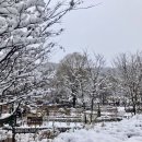 봉제산 책쉼터 이미지