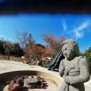 애월 쉴만한 물가 이미지