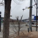 송강목장 이미지