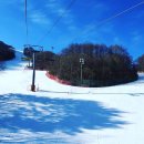 그랜드스키.그랜드모텔 이미지