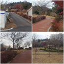 반룡마을회관 이미지