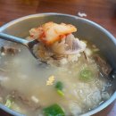 열린자리 | 안산 초지동 맛집 애견동반 가능한 열린멸치국수 솔직후기
