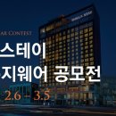 디자인신라