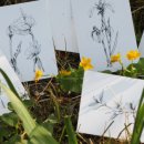 연필스케치와 꽃그림 이미지