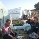 재규농장 이미지