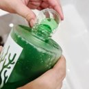 해조 | 제주탄산온천 다이어트입욕제 추천 | 테피 알씨알바스 해조류 입욕제 사용 후기