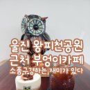 울진 왕피천공원 근처 카페 특이한 부엉이카페 추천