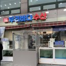 별수산 | 우리바다수산 : 서울 대방어맛집 망원역 맛집 캐치테이블 후기(대방어소, 매운탕)