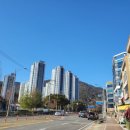 산호동181 이미지