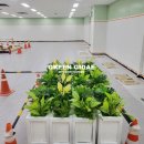 그린장식인테리어 | [울산 남구 인조잔디 플랜트박스] 그린지대로 완성한 감성 인테리어 시공 후기