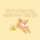 삼산평생동물병원 이미지