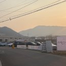 수월 | 양산 원동 미나리 삼겹살 식당 수월산방 솔직후기