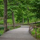 공공요금_산림복지