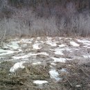 양지농장 이미지