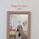 주정차22 | 청라 빵집 | 인천대왕카스테라 맛집 | 진심카스테라 청라점 포장후기