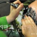 오늘피부;내일두피