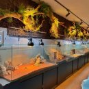 모다아울렛 이미지