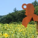 태백고원 700 산소길 이미지