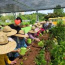 로얄튼너싱홈 이미지