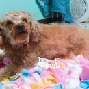 금비동물병원 이미지