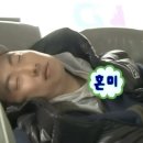 삼일종합전기 | 길냥이 유기묘 구조 입양 적응기간과 리얼 후기(첫날~일주일)