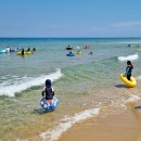 망상종합관광안내소 이미지