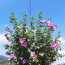 모듬내길 이미지