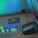 [알맹상점] 우리 곁에 쓰레기 | [2026무해런] #8 - 두둥! 대망의 무해런 당일!🐇🐢⭐