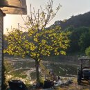 오동농장 이미지